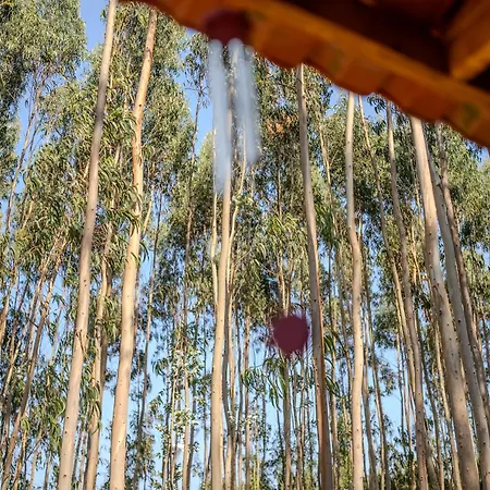 Eucalibrios-tenda Alecrim