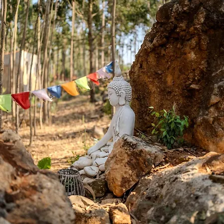 Eucalibrios-tenda Alecrim Reguengo Grande